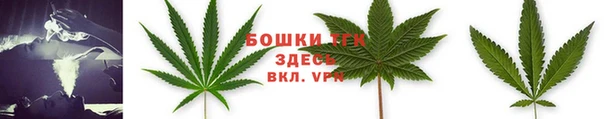 спайс Инсар